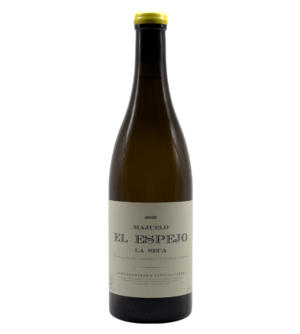 el espejo